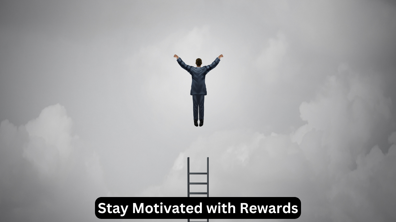 Stay Motivated with Rewards