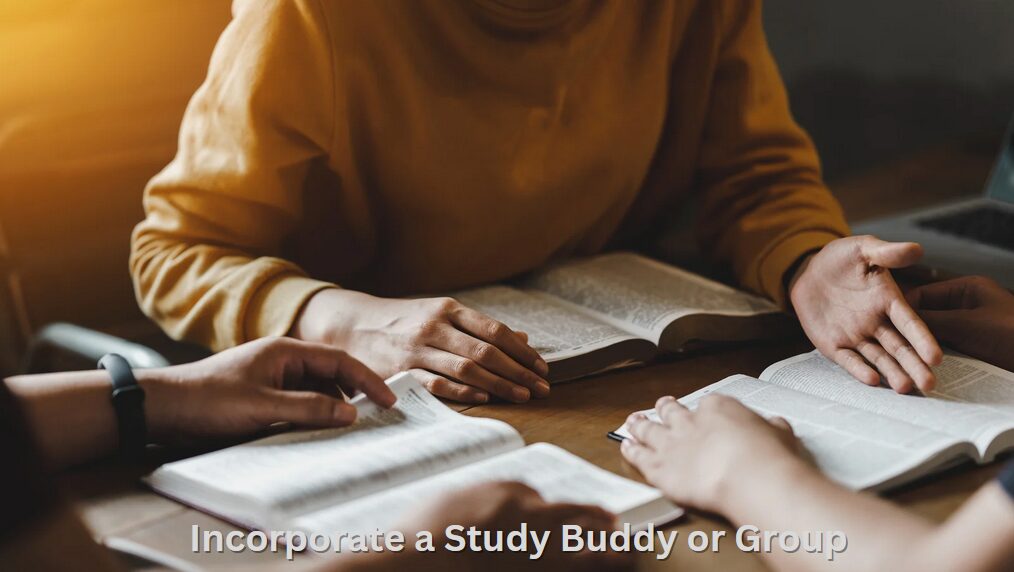 Incorporate a Study Buddy or Group